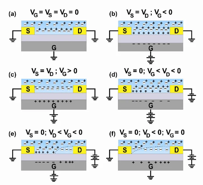 Figure 1.8  (a)  Schematic  of  operation  of  an  organic  thin-film  transistor,  using  p-type  organic  semiconductor: + indicates a positive charges (holes) in the semiconductor, whereas (-) indicates the negative  fixed  charge