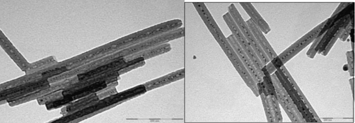 Fig. 19 TEM micrograph of butanethiol protected Ag nanoparticles partially filling synthetic chrysothyle hollows 
