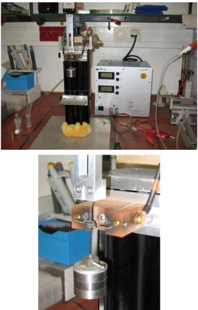 Figura 3.2 – Apparato strumentale per la fabbricazione di microelettrodi di Pt. 