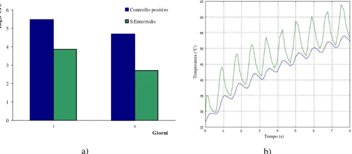 Figura 4.5: risultati microbiologici (a) e profili termici (b), dell’interno (linea blu) e dell’esterno  (linea verde) del guscio, ottenuti tramite simulazione numerica, corrispondenti al trattamento T3