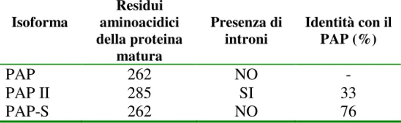 Tabella 1. Le isoforme del PAP presenti in natura  Isoforma  Residui  aminoacidici  della proteina  matura  Presenza di 
