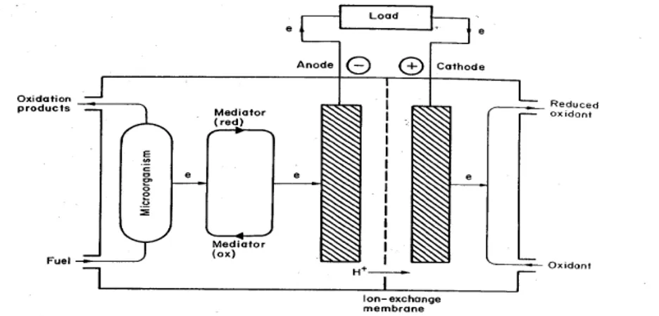 Figura 3-1 Rappresentazione schematica del funzionamento di una MFC con il ricorso a 
