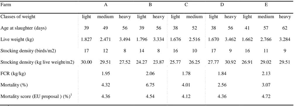 Table 2. Productive traits of broiler chickens recorded in five flocks during summer.