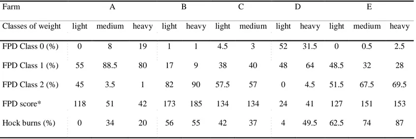 Table 5. Incidence and score of food pad dermatitis (FPD) observed in light, medium and heavy sized broilers of five flocks during winter.