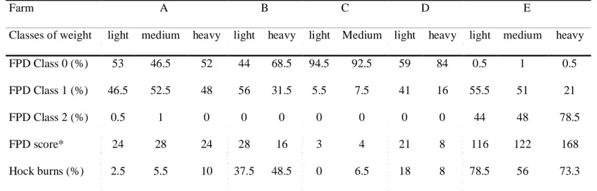 Table 6. Incidence  and  score  of  food  pad  dermatitis  (FPD)  observed  in  light,  medium  and  heavy  sized  broilers  of  five  flocks  during summer.