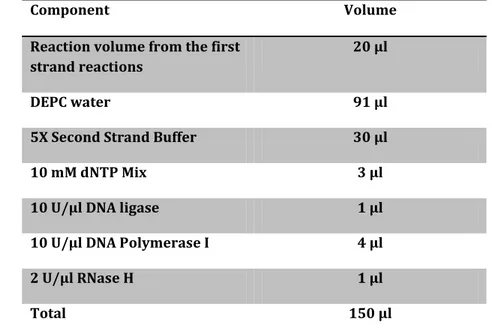 Table 3. Volume of different components combined in the second step of first cDNA synthesis
