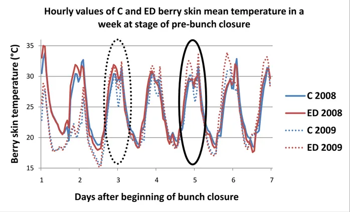 Fig.  2.  Hourly  values  of  C  and  ED  berry  skin  mean  temperature  (°C)  in  a  week  at  stage  of  pre-bunch  closure