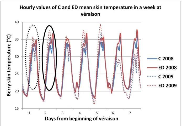 Fig. 4. Hourly values of C and ED berry skin mean temperature (°C) in a week at beginning of véraison