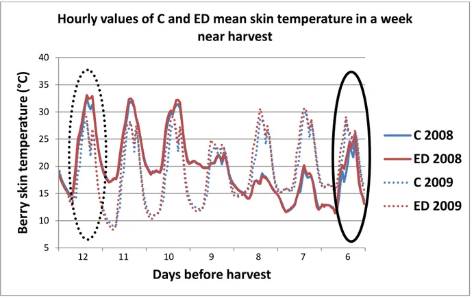 Fig.  6.  Hourly  values  of  C  and  ED  berry  skin  mean  temperature  (°C)  in  a  week  about  10  days  before  harvest