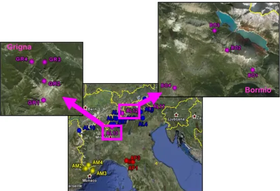 Figura 6.3 Dettaglio dei siti di campionamento di R. x intermedium nelle zone di Bormio (AL12) e  della Grigna settentrionale (AL13).