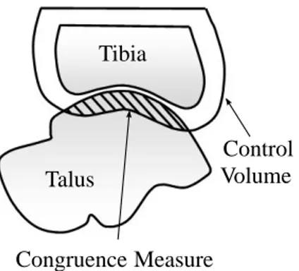 Figure 2.3: A 2D representation of the joint congruence measure.
