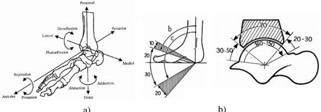 Figure 3.2: Axes of rotation a) and range of motion b) for the ankle.