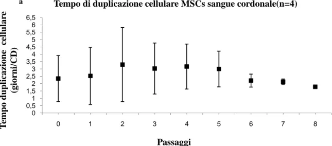 Fig. 2.7: Caratteristiche di crescita in vitro delle cellule mesenchimali isolate dal sangue cordonale di cavallo