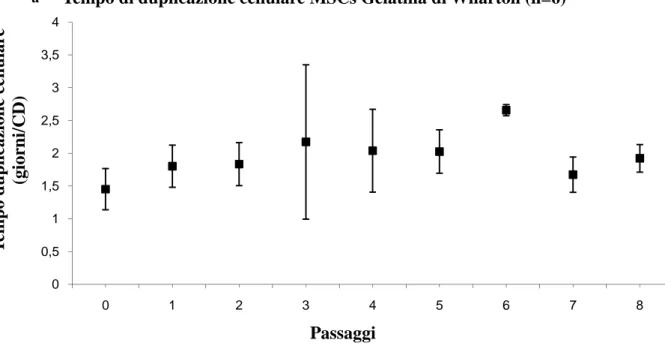 Fig.  2.9:  Caratteristiche  di  crescita  in  vitro  delle  cellule  mesenchimali  isolate  dalla  gelatina  di  Wharton  di  cordone  ombelicale cavallo