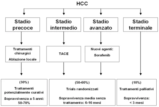 Figura  2.  Trattamenti  di  epatocarcinomi  in  differenti  stadi  di  progressione. Per ogni stadio è indicato lo standard di cura stabilto dalle linee  guida