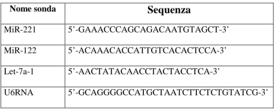 Tabella 1. Sequenza delle sonde oligonucleotodiche. 