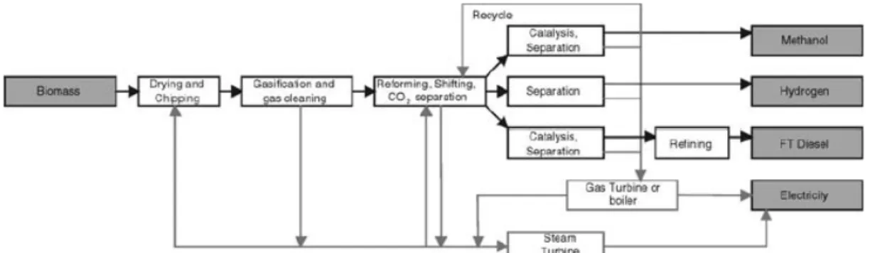 Fig. 2.7 – Generic flowsheet for MeOH, H2 or FT diesel production   via gasification of biomass 