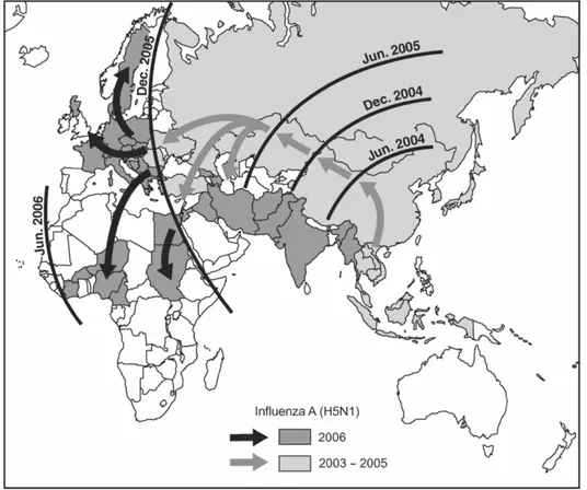 Fig. 5 - Paesi nei quali sono segnalati focolai di influenza A H5N1 negli uccelli selvatici e  nel pollame domestico (dicembre 2003-maggio 2006), differenziati tra quelli in cui i primi  casi  risalgono  al  periodo  gennaio-maggio  2006  (grigio  scuro)  