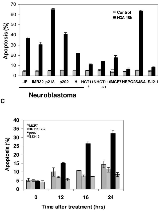 Figure 5. MDM2 inhibition induces rapid apoptotic response in neuroblastoma cell  lines and primary tumor culture