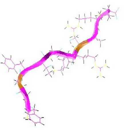 Figura  5: Sequenza aminoacidica della nocicettina confrontata con quella di alcuni  peptidi oppioidi