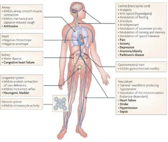 Figura 9 Effetti farmacologici e fisiologici della nocicettina