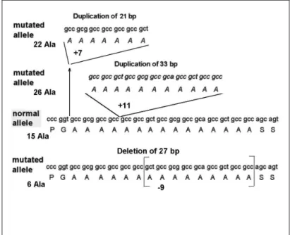 Figura  1.10  –  schema  (tratto  da  Laumonnier  et  al.  2002,  riaggiornato  ed  adattato)  delle  mutazioni  tipo  INDEL  scoperte  nel  gene SOX3 e riportate nei  lavori  di  Woods  et  al