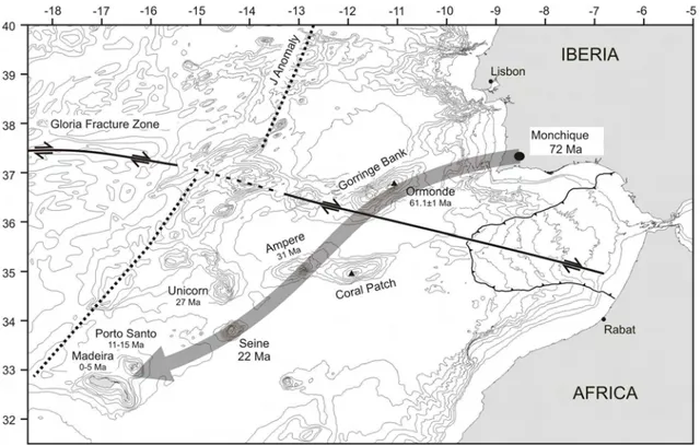 Figure 1.1.2 Study area. Thin solid line, Gibraltar accretionary prism; thick solid line Gloria fracture  zone and SWIM lineaments; grey arrow, track of the Monchique – Madeira hotspot