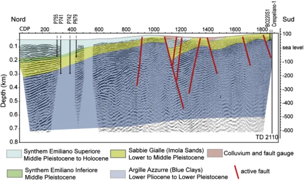 Fig. 7. A seismic proﬁle across the Ponte Ronca fault and associated features (modiﬁed after Picotti and Pazzaglia, 2008)