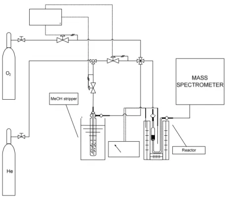 Figure 3.4: Scheme of the laboratory plant used to perform methanol combustion tests. 