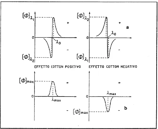Figura 37  -  Effetto Cotton in spettri di: a) dispersione ottica rotatoria, b)  dicroismo circolare.