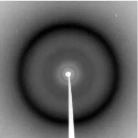 Figure 9: XRD diffraction pattern of Poly(M6A)-24 in the glassy smectic phase.  