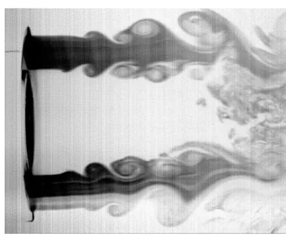 Figure 1.2. Flow visualization of two coaxial jets where the outer one has been seeded with smoke.