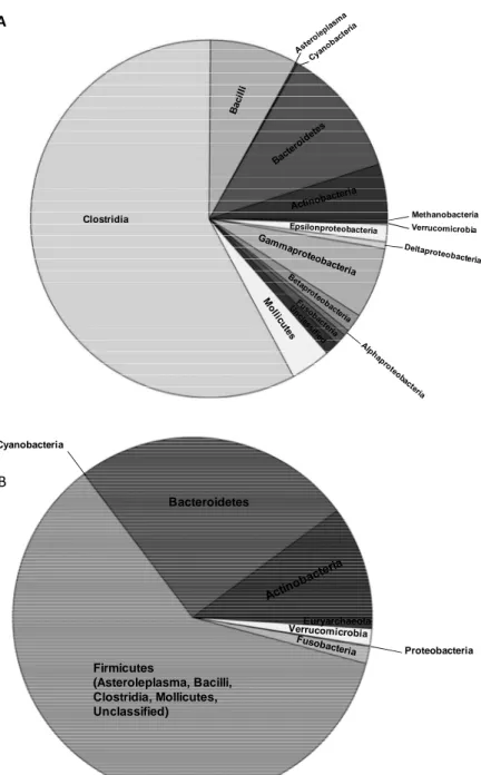 Fig. 2.  Diversità procariotica del tratto gastrointestinale umano.  