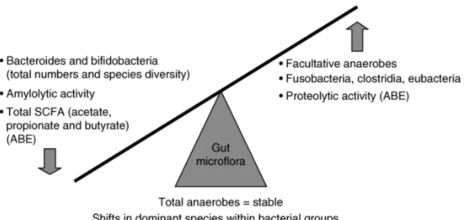 Fig. 4. Variazioni nella microflora intestinale della popolazione anziana. ABE, antibiotic-treated elderly