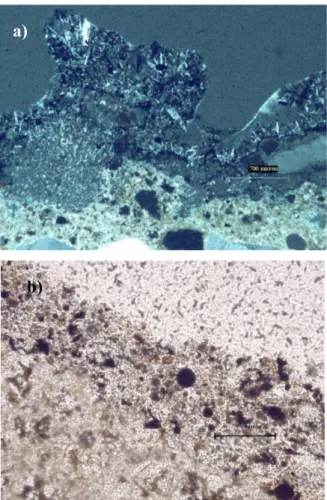 Figure 4.4. Optical micrographs (a) cross-polarised light (b) planed-polarised light of damage layer in  sheltered area (CH19), black carbonaceous particles, yellow transparent aluminosilicate particles and orange 