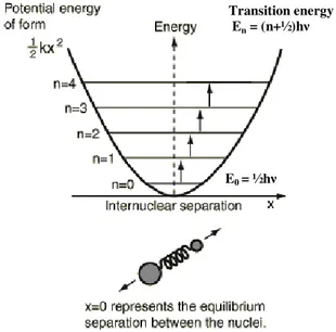 Figure 2.3: The harmonic oscillator model in which the  quantized fundamental vibrations are shown 
