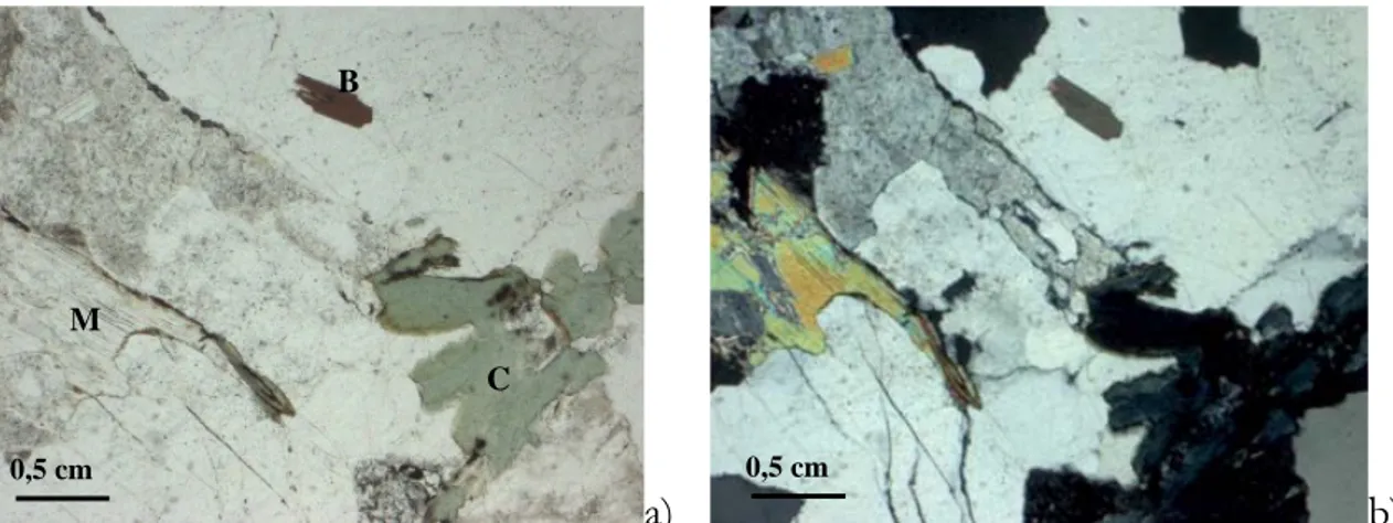 Fig. 5.6. The Vilachán granite is a two mica granite, containing muscovite (M) and biotite (B), as  well