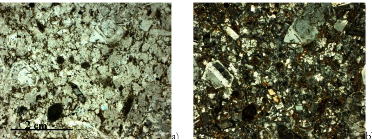 Fig. 5.12. The andesite has a microporphyritic texture, the matrix/ phenoclast ratio is  approximately ½