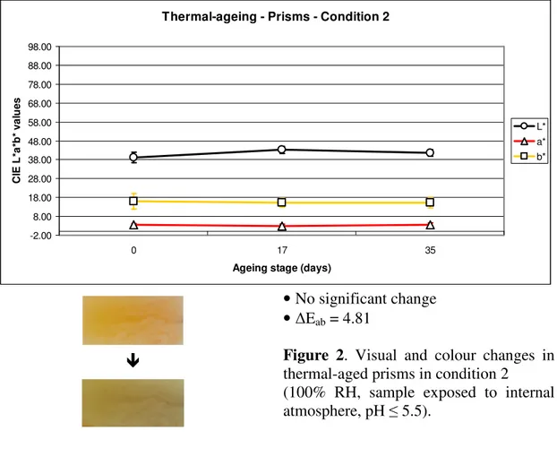 Figure  2.  Visual  and  colour  changes  in  thermal-aged prisms in condition 2 