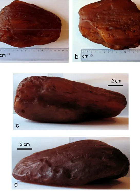 Figure 3.1. Four views (a-b-c-d) of the Baltic amber lump selected for the production  of samples