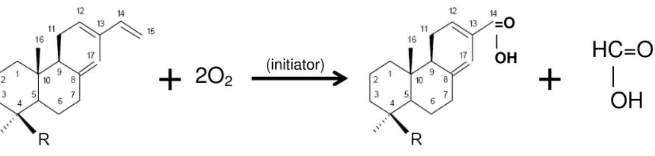 Figure  4.12.  Hypothesis  of  decomposition  that  produced  formic  acid  through  the  cleavage of C=C terminal bonds due to oxidation