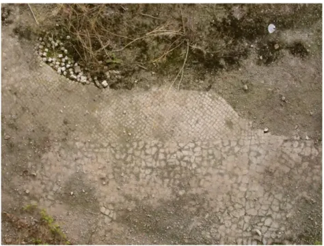 Figure 11 Remains of the mosaic‟s tessellatum in the area next to the south wall of the room