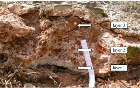 Figure 33 Cross section of the mosaic‟s substrate with the indication of the different mortar layers
