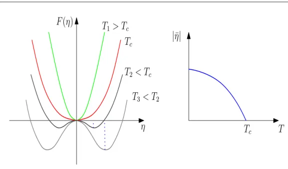 Figura 1.5: Energia libera e valori di equilibrio del parametro d’ordine al variare della temperatura per transizioni di fase di II specie.