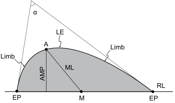Figure 3.1. Simplified scheme showing the main geometric elements of orogenic bends. 