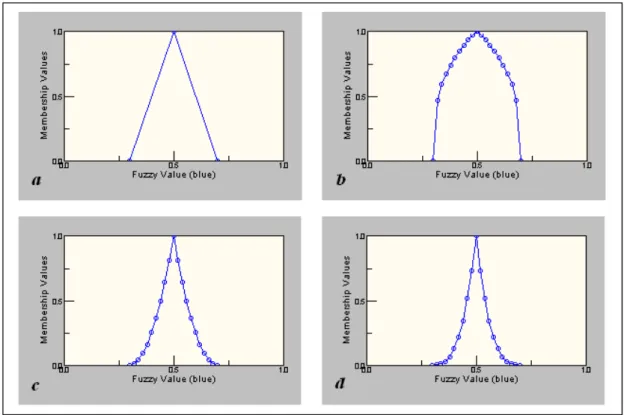 Figura 2. 6: Visualizzazione grafica dell’applicazione di modificatori ad un valore fuzzy di partenza (a)