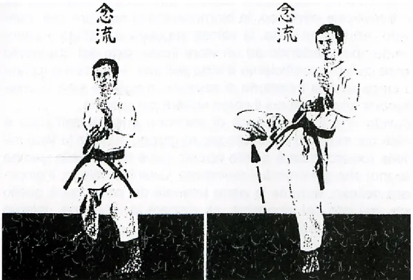 Figura 4 Mawashi geri tradizionale (prima fase) 