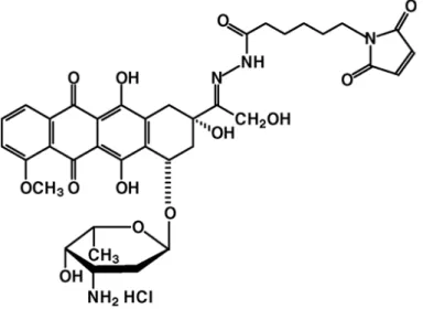Fig. 3: Derivato (6-Maleimidocaproil)idrazone della doxorubicina 
