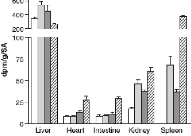 Fig 9 Distribuzione negli organi di ratto della la L-[ 14 C]-HSA (colonne bianche), L-[ 14 C]- C]-HSA-DOXO (colonne grigio chiare),  L-[ 14 C]-RSA-DOXO (colonne grigio scure), [ 14  C]-HSA-DOXO (colonne rigate)