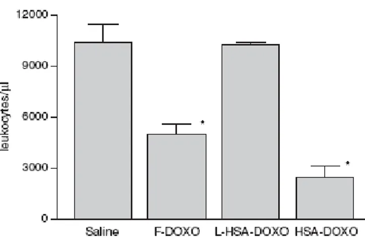 Fig 10. Numero dei leucociti periferici del ratto contati dopo la somministrazione i.v
